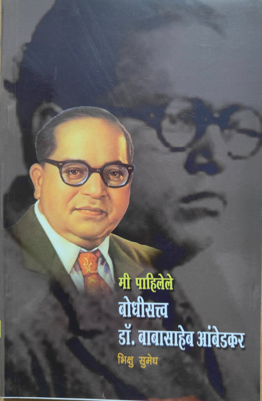 मी पाहिलेली बोधिसत्व